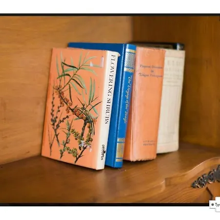 Canto Do 28, Typical * Lisboa